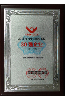 2015年度中国照明工程30强企业
